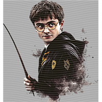 Harry Potter-HP 218